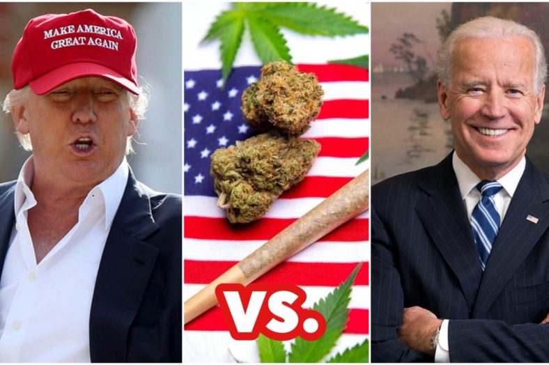 Cannabis en la campaña electoral de EEUU 2020