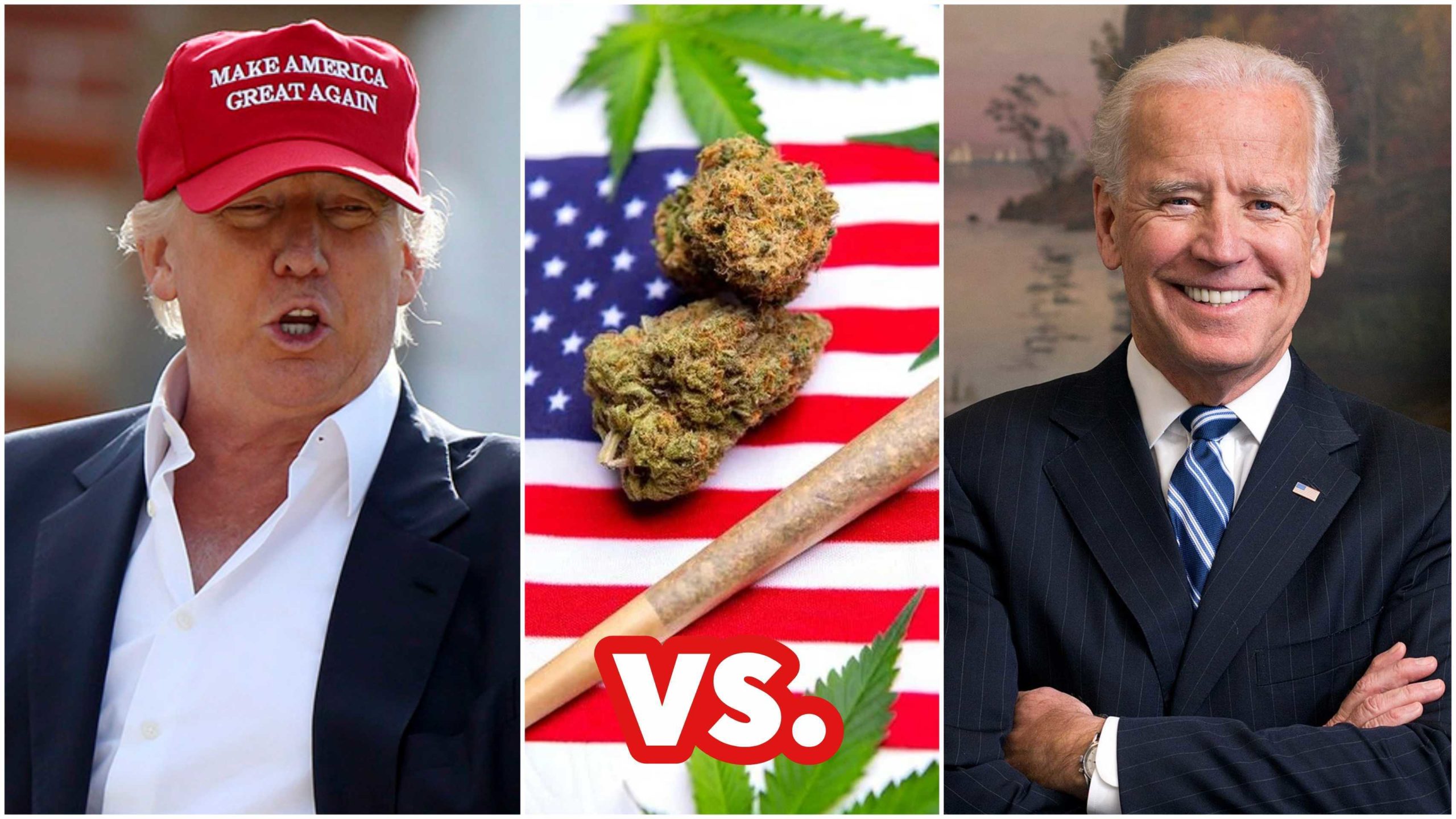 Cannabis en la campaña electoral de EEUU 2020