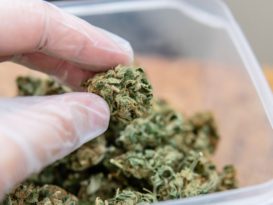 Cannabis y coronavirus