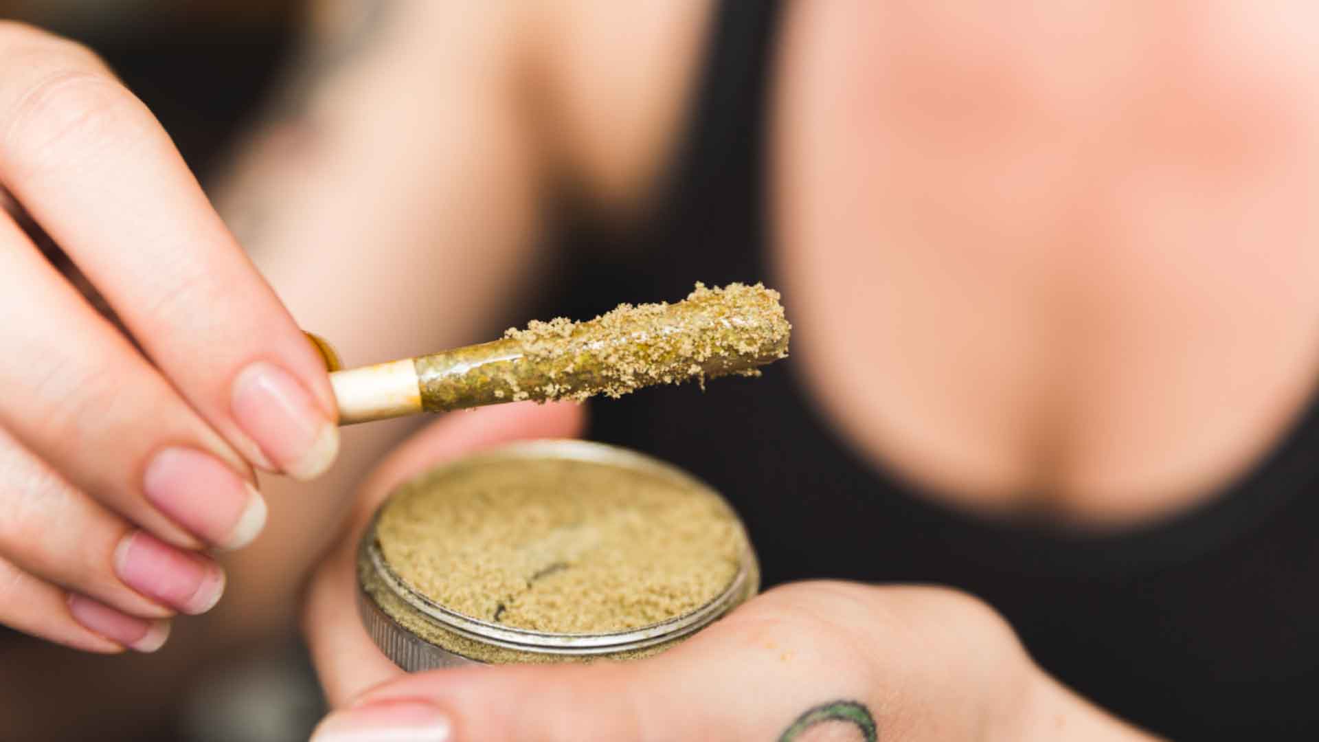 Qué es el kief