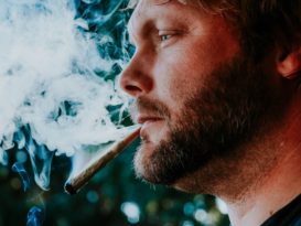 Cannabis y sistema inmunológico