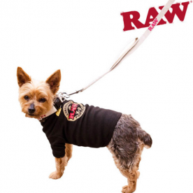 Raw Correa Perro